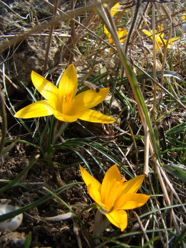 Юлія Буяновська | Жашков
