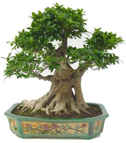 Александр Кузьминых | Пермь