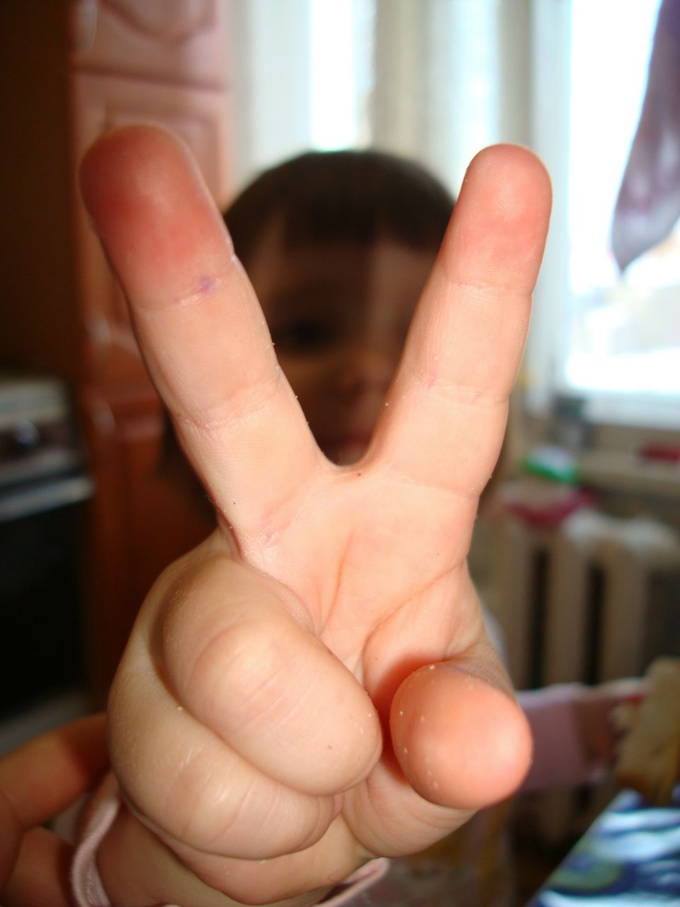 Сергей Богданов | Петрозаводск