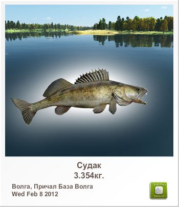 Вова Баженов | Иркутск