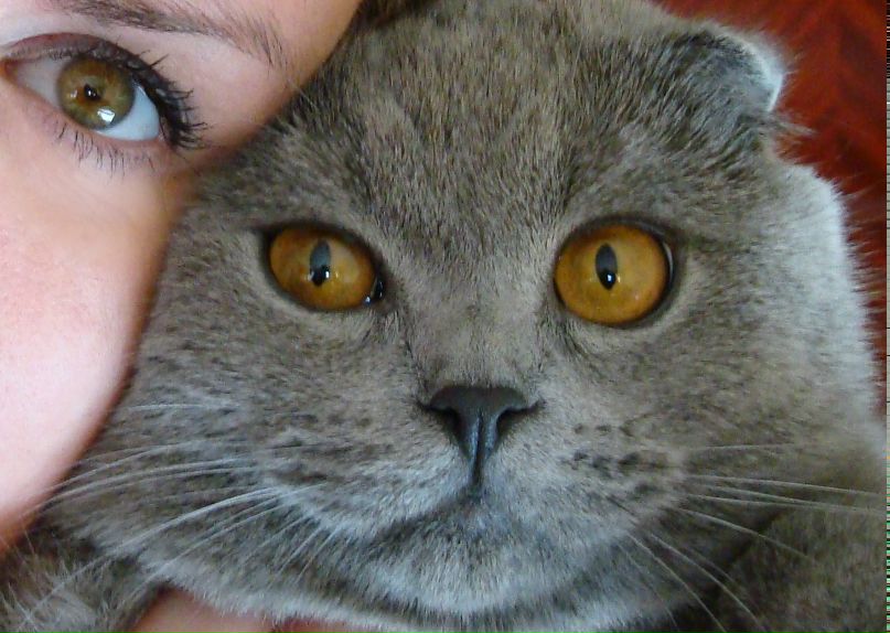 Наталья Сашани | Екатеринбург