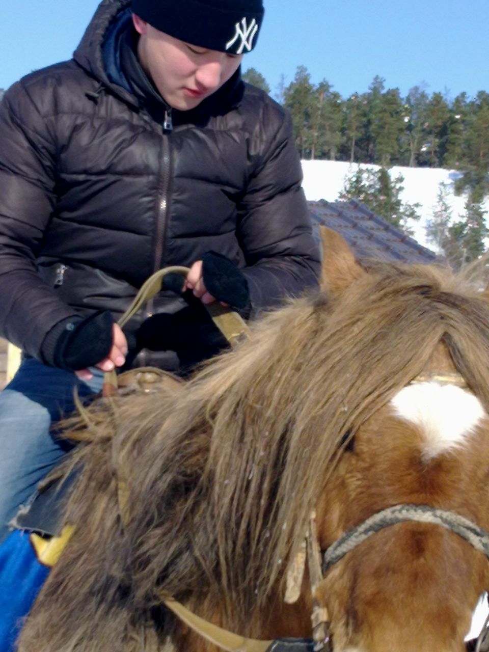 Костя Потапов | 