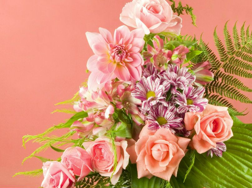 Алёна Дубницкая | Казань