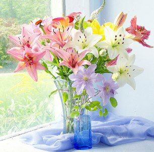 Марина Сушко | Нижний Новгород