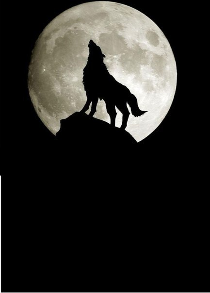 Ира Цой | Астана / Нур-Султан