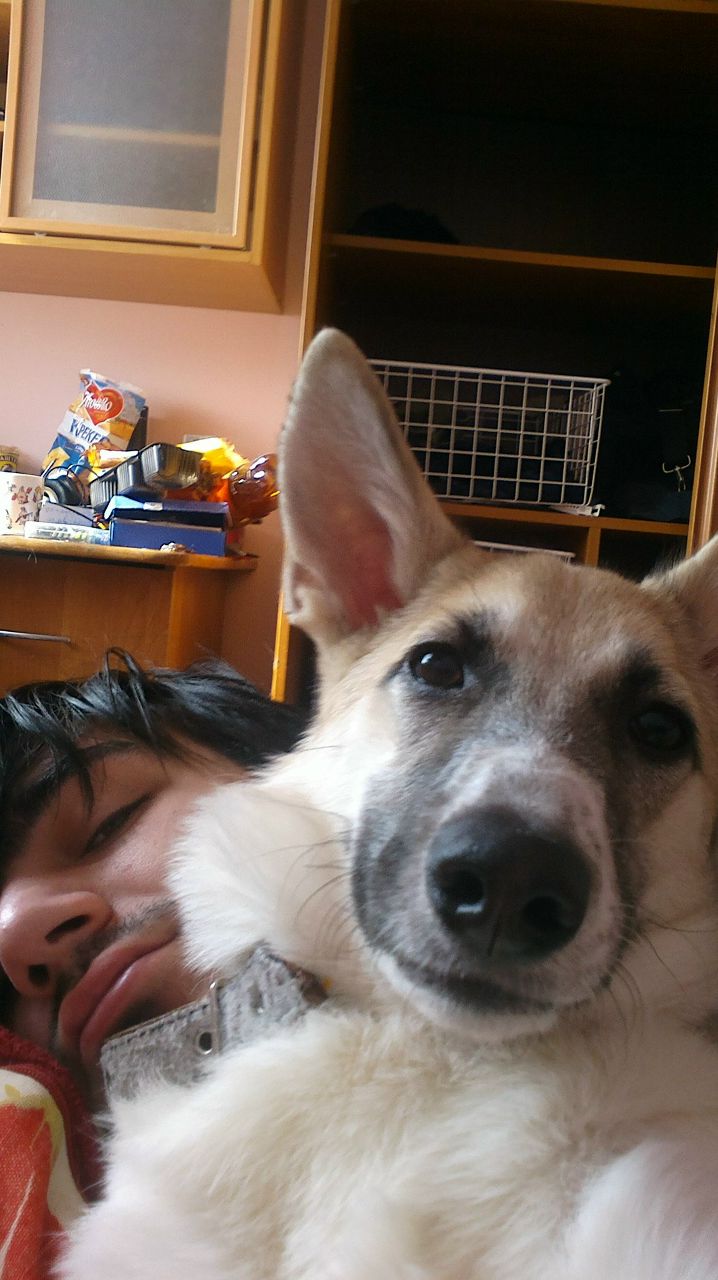 Илья Якубов IL-2 | Липецк