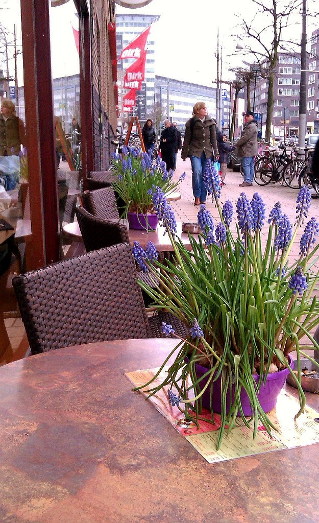 Anastasia Алфёрова | Stockholm