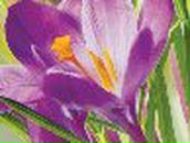 Иришка Морозова ♥-^_^-♥ | Старый Оскол