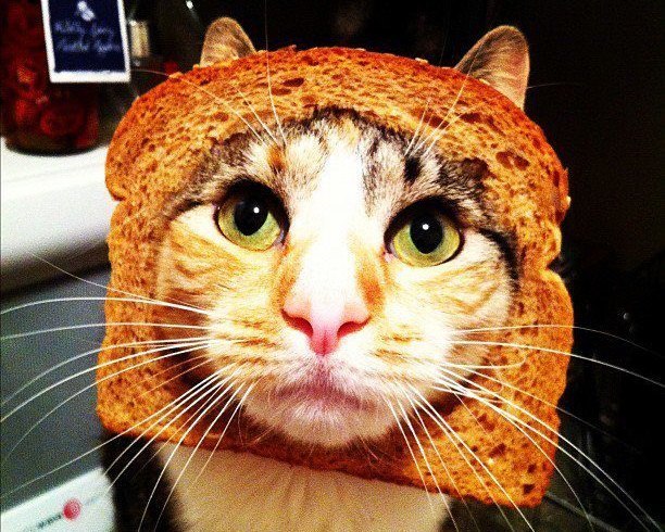 Светлана Банникова | Сергиев Посад