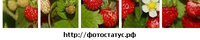 Фотография Алина Демина