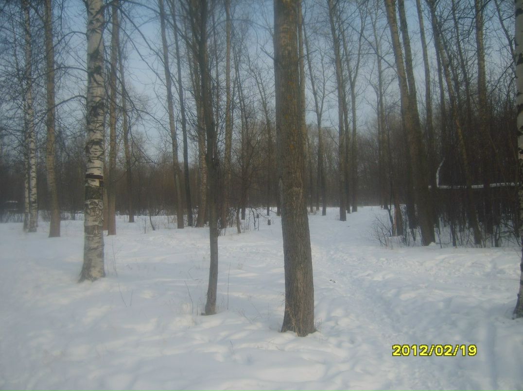 Роман Мавричев Алексеевич | Вологда