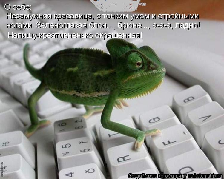 Юлия Курашенко | Ростов-на-Дону