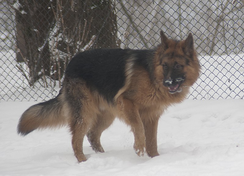 Надежда Захожая | Москва