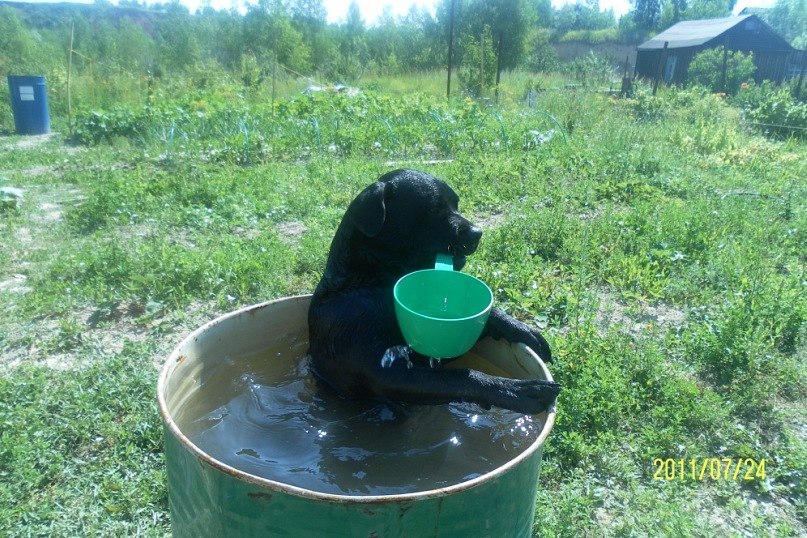 Ляйсан Маликова | Казань