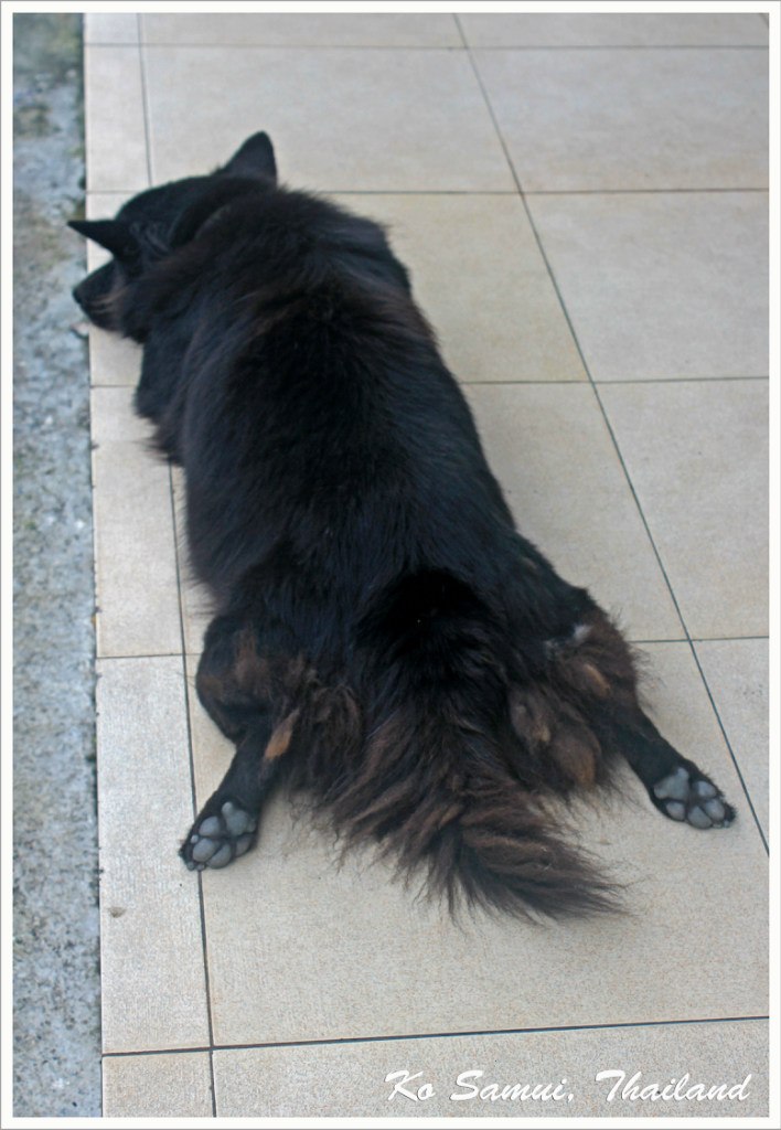 Юрий Воротников | Новосибирск