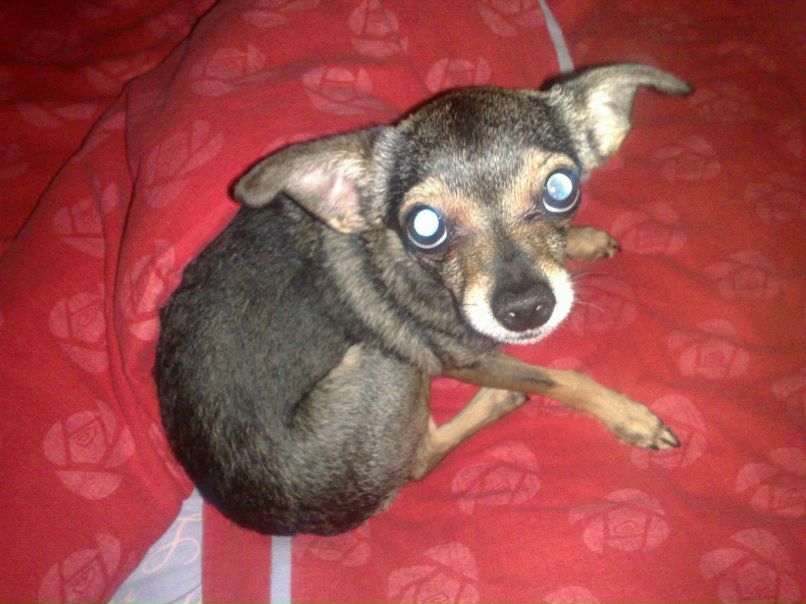 Дима Жмайлов censor'd | Ростов-на-Дону