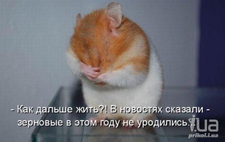 №45, Алим Василенко, Саратов №45, Алим Василенко, Саратов