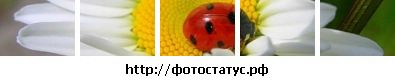 Фотография Таня Родимченко