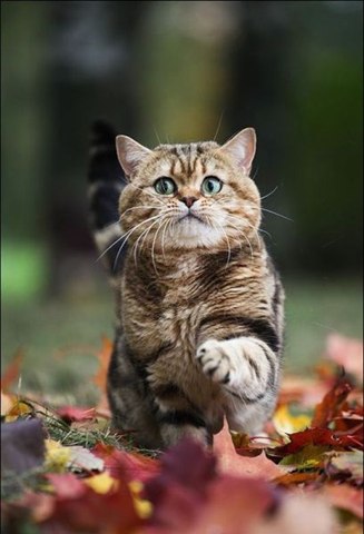 Анатолий Штыка $M.@.L.U.S.H$ | Киев