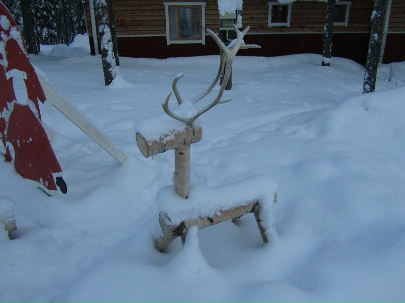 Алексей Алтухов | Воронеж