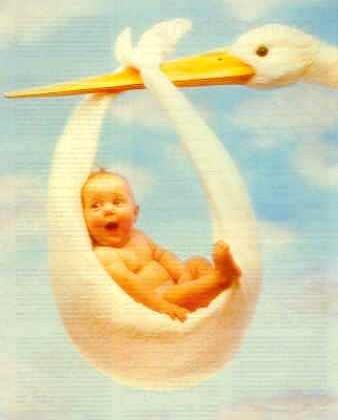 Ольга Зарубина | Москва