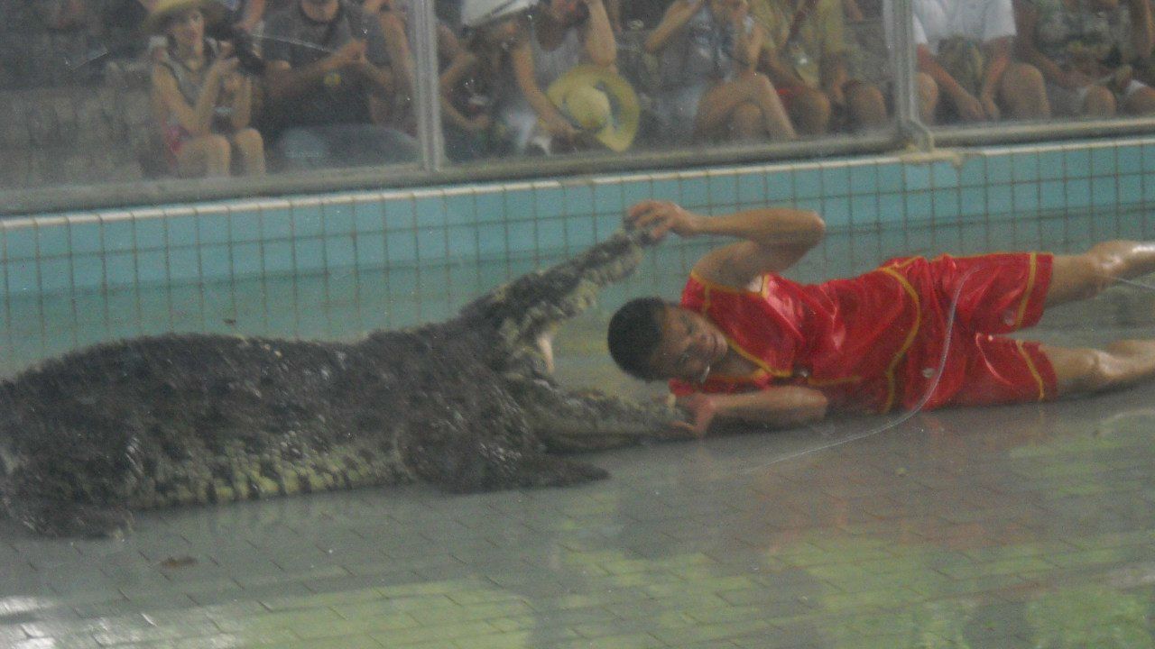 Маргарита Ведерникова | Днепр (Днепропетровск)