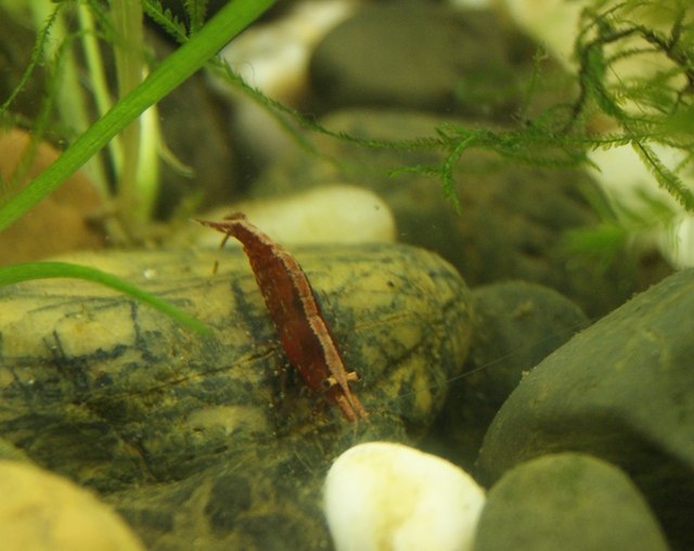 Василий Иванович | Казань