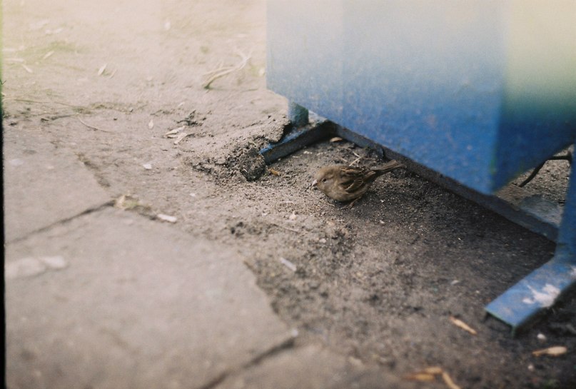 Катя Янковская | Минск