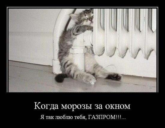 Вячеслав Шутиков | Санкт-Петербург