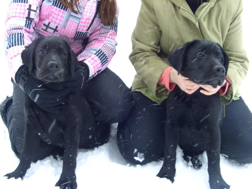 Светлана Кураева | Рыбинск