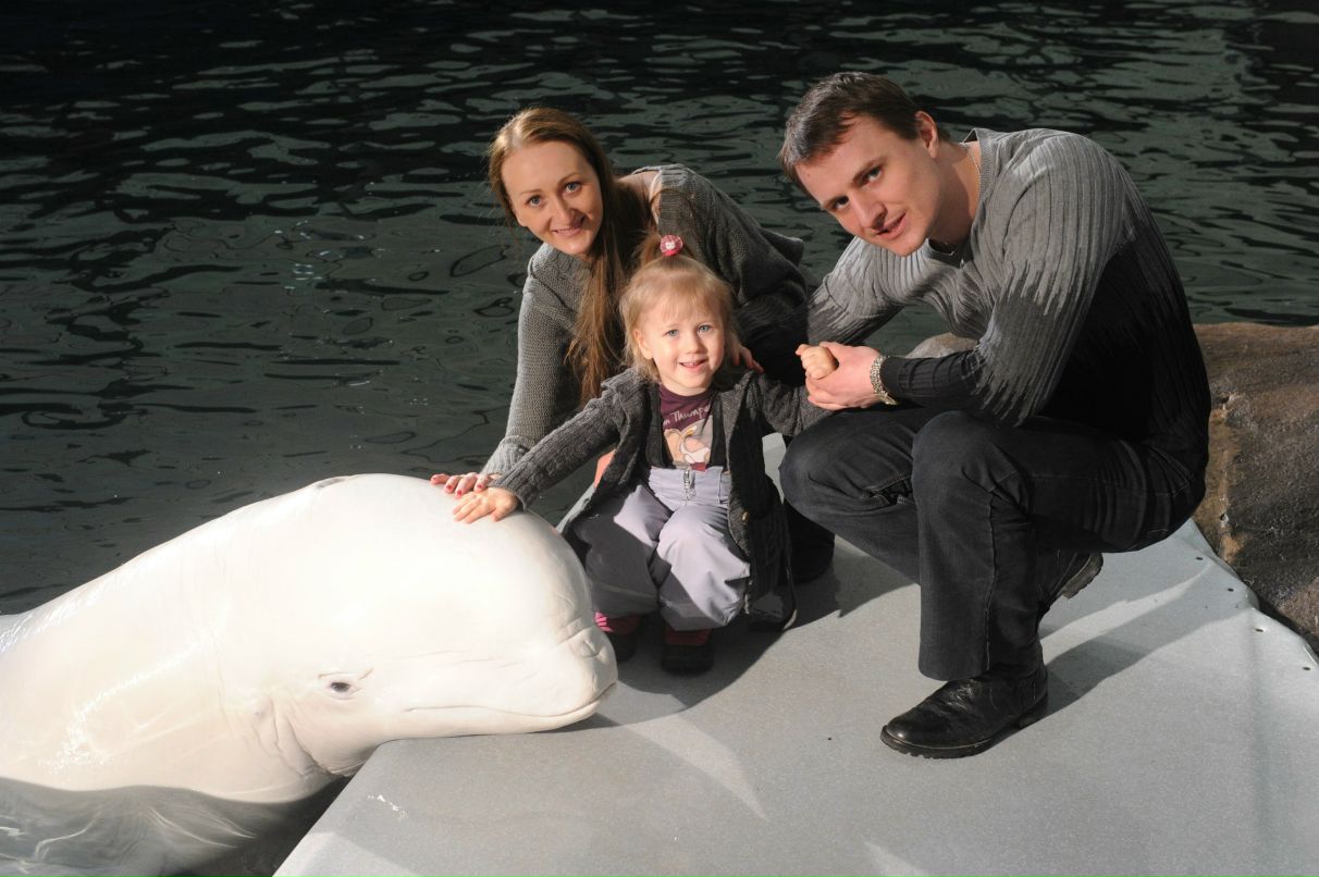 Наталия Комиссарова | Москва