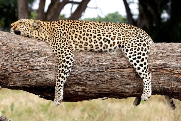 Алёна Васильева | Уфа