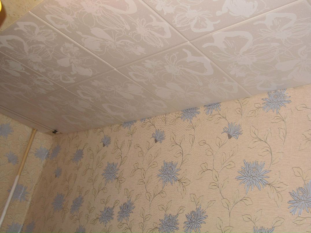 Леонид Лавров Максимович | Санкт-Петербург