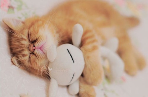 Анна Борецька | Тернополь