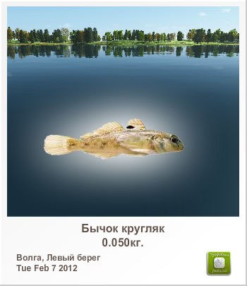 Андрей Аверьянов Михалыч | Гомель