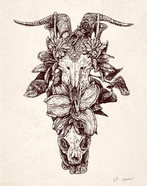 Ира Шатохина | Краснодар