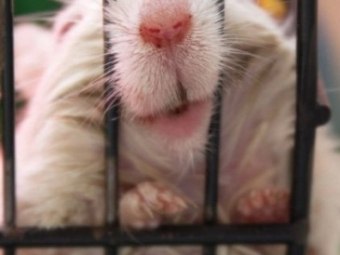 Серёжа Мозес | Санкт-Петербург