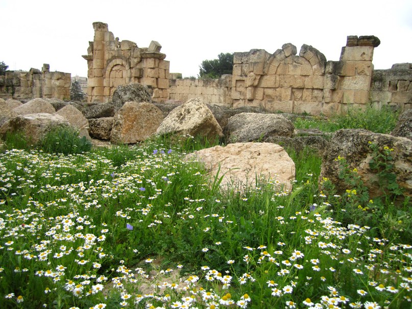 Ольга Курохтина | Москва