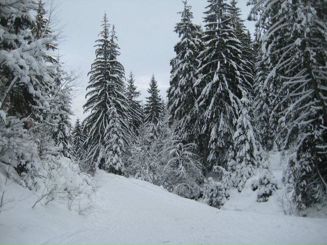 Віктор Русин viktorovuch | Берегово