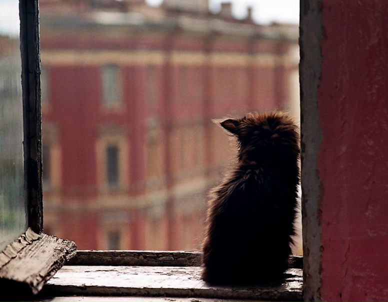 №13, Алла Фонова, Москва, Россия №13, Алла Фонова, Москва, Россия