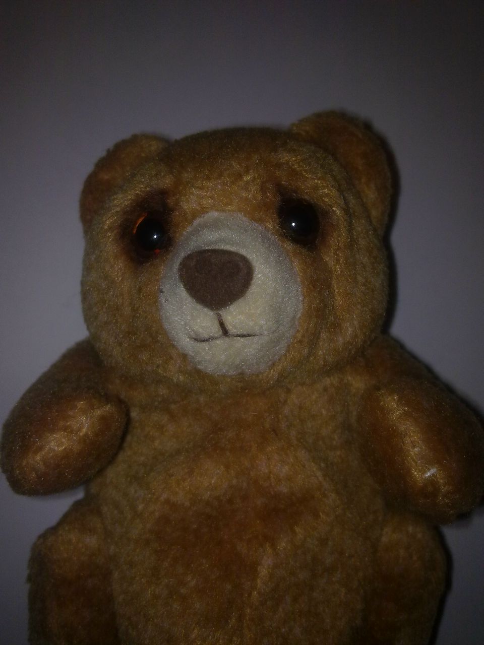 Андрій Романенко | Коломыя