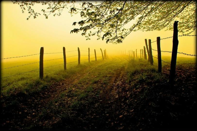 Игорь Балаш Анатольевич | Минск