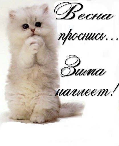 №50, Машка Штука №50, Машка Штука