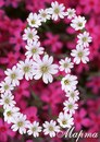 №35 Дарья Игумнова 07.03.1988: профиль, фото, статус - ВКонтакте