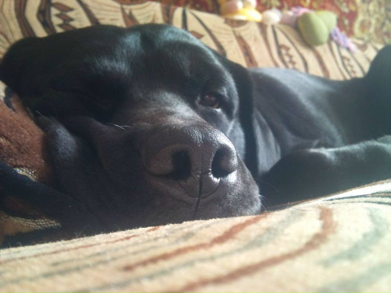 Алёна Чопорова ♪♫♬♩ | Алушта