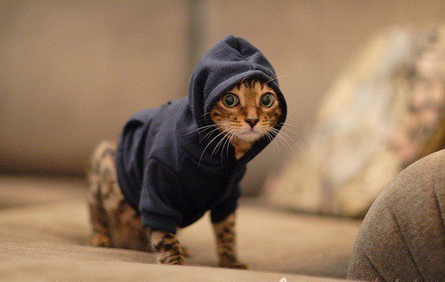 Серёга Ющин | Саранск