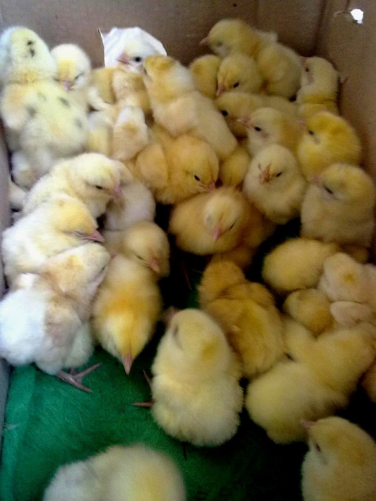 Надя Богачёва | Москва