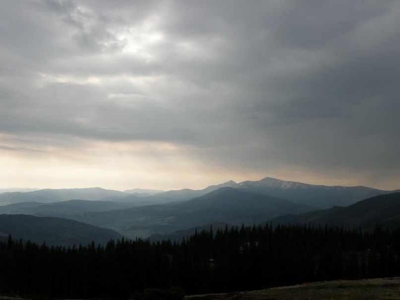 Наталія Тацишин-Войчишин | Ивано-Франковск