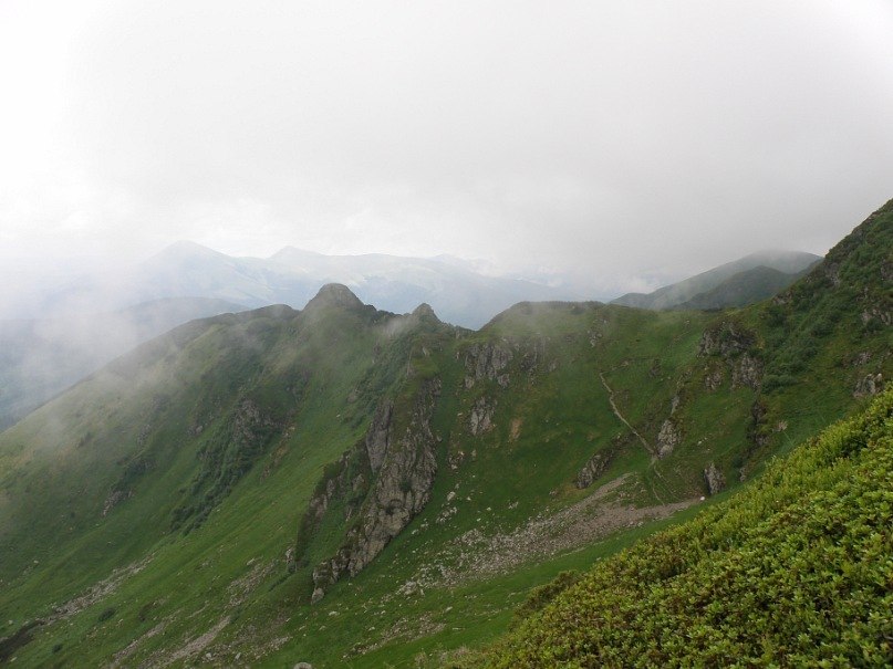 Наталія Тацишин-Войчишин | Ивано-Франковск