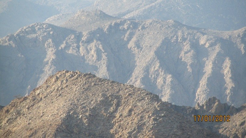 Светлана Александрова | Berlin